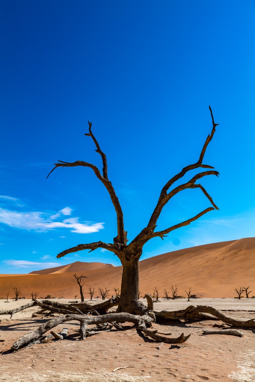 Turismo: Transafrica